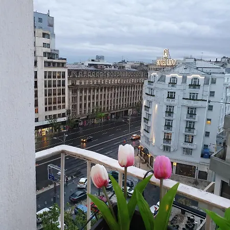 Mi Casa Su Casa Apartment Bucharest