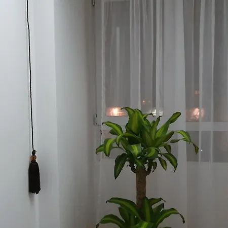 Mi Casa Su Casa Bukarest