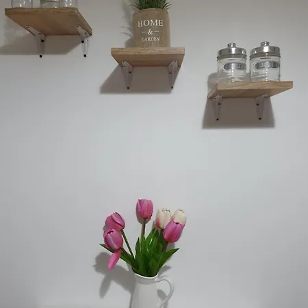 Mi Casa Su Casa Lägenhet Bukarest